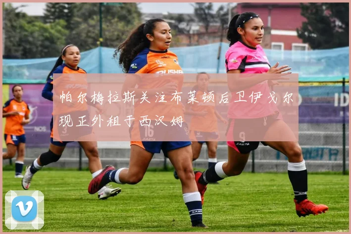 帕尔梅拉斯关注布莱顿后卫伊戈尔现正外租于西汉姆